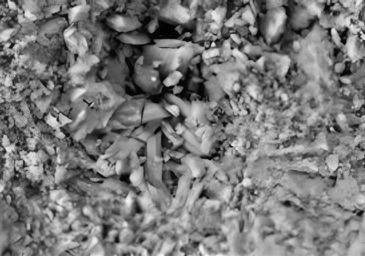 От отходов к прочности: как горелые породы повысили водостойкость экобетона на 50%