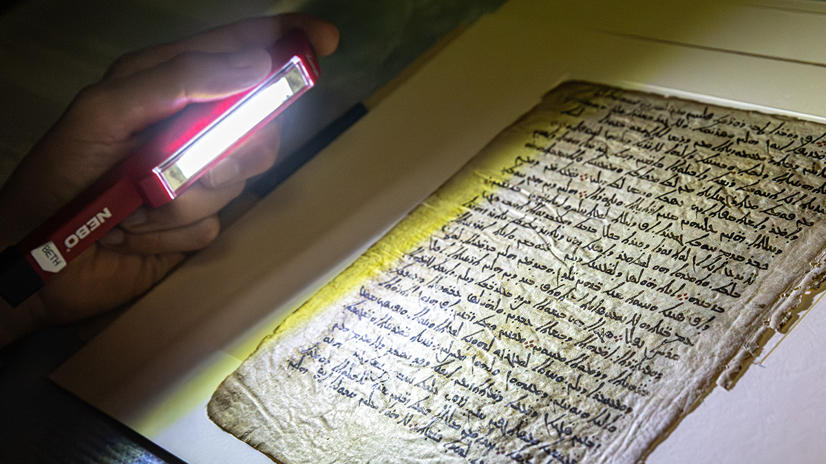 Учёные показали самую древнюю из известных карт ночного неба