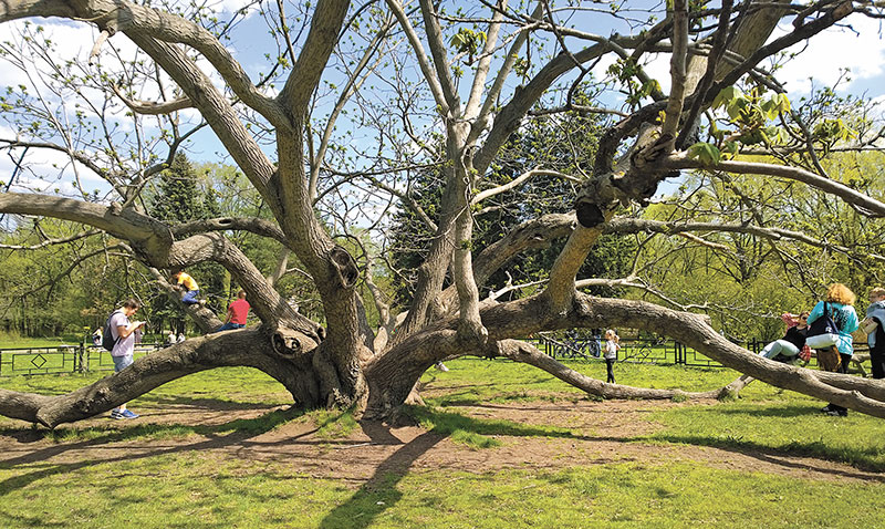 Все наоборот. Почему природа просыпается, а общество болеет и стареет?