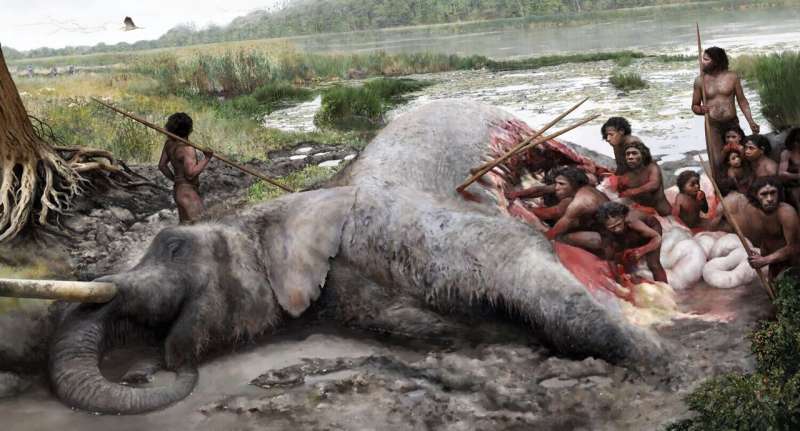 Древнее копье в ребрах слона: как находка в Германии раскрывает секреты охоты неандертальцев