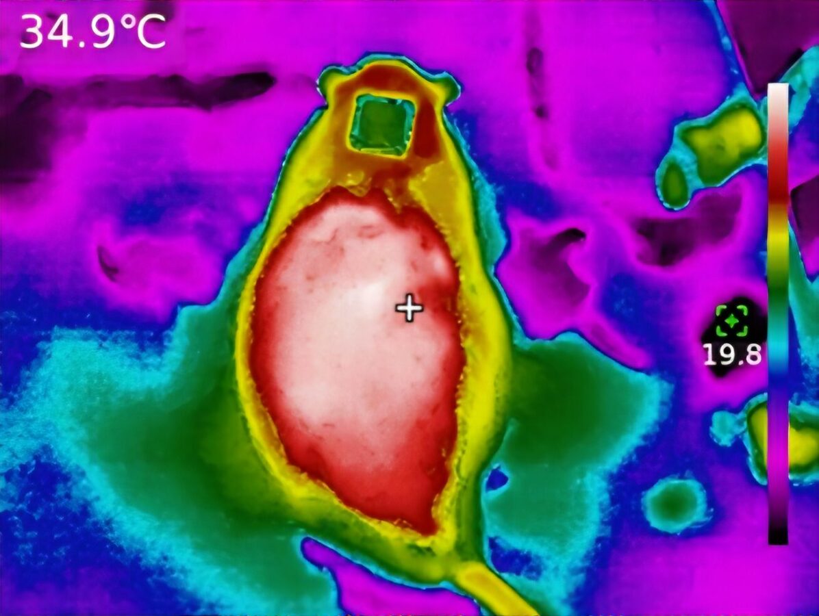 Найти безопасные составы. Редкоземельные металлы в имплантатах повредили печень и почки у крыс