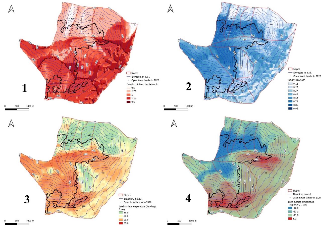 Ученые раскрыли причины различий почвообразовательных процессов на верхнем пределе лесов на Алтае