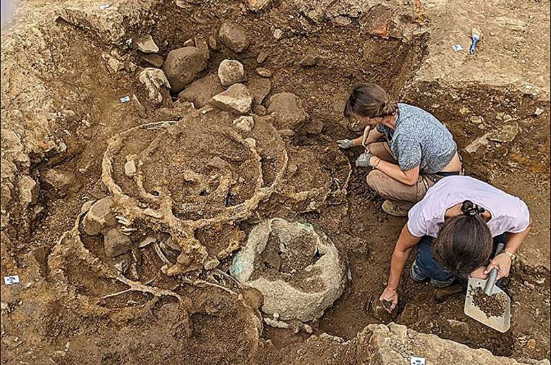 Ритуальное уничтожение. Ученые выяснили, как разобранные повозки раскрывают тайны древней элиты