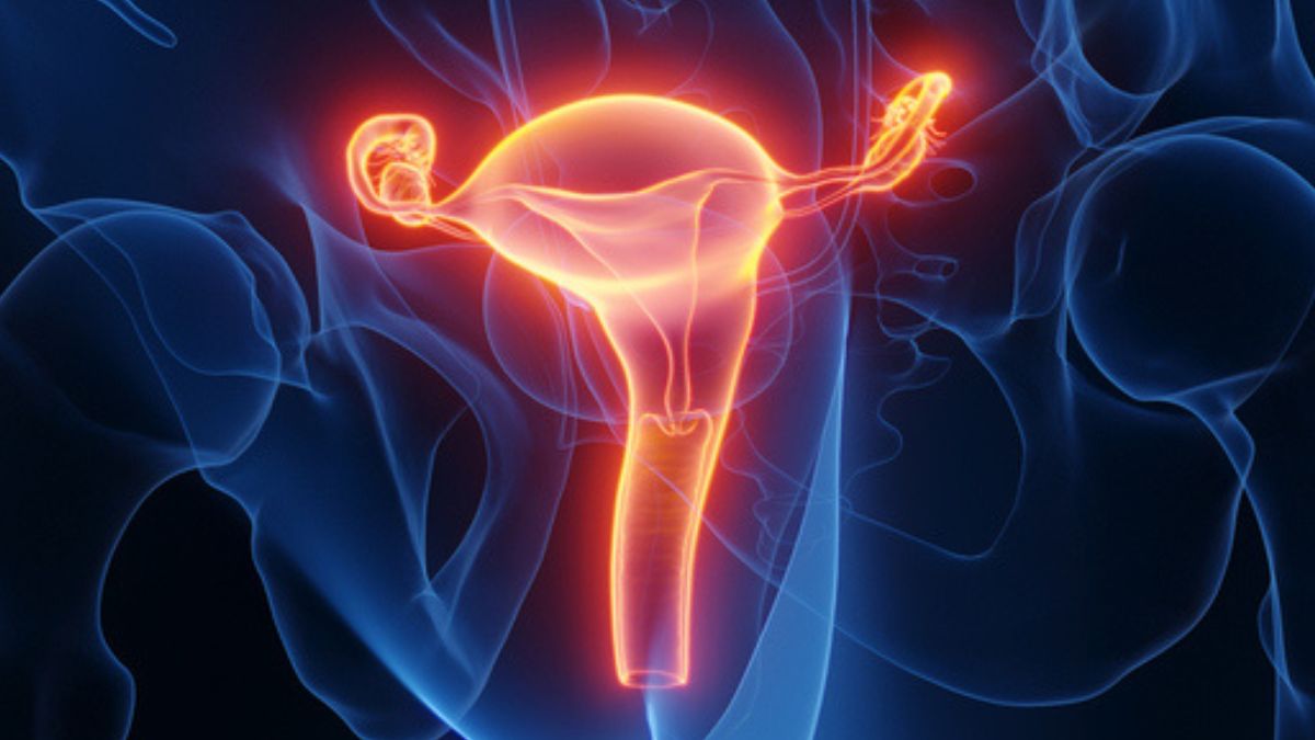 Впервые: женщина родила после пересадки матки от умершего донора.