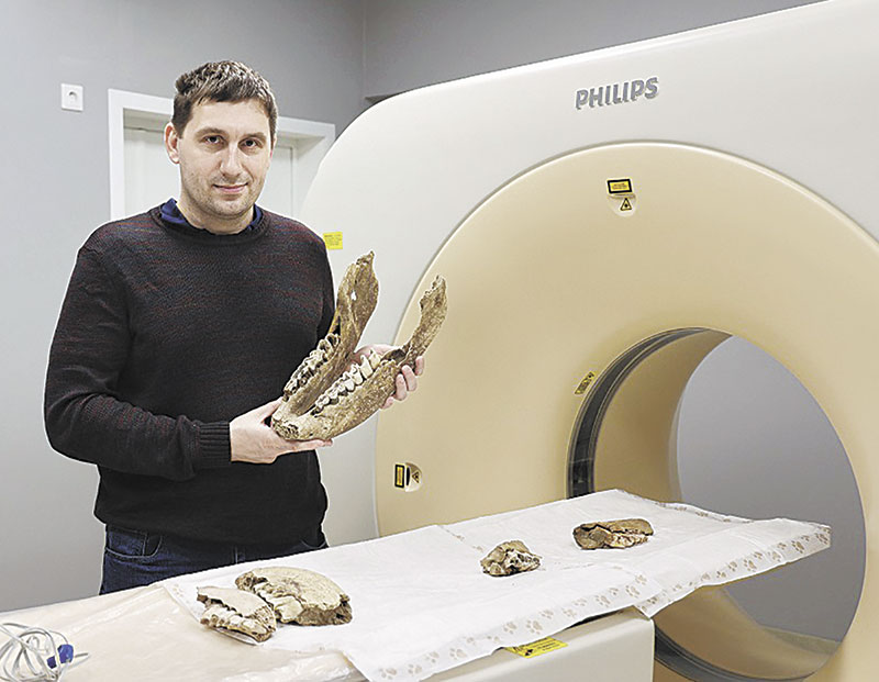 Как росли зубы у носорога