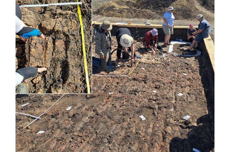 «Зал собраний» в румынской глуши: что скрывает крупнейшая постройка трипольской культуры?