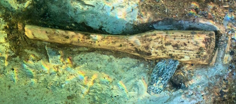 «Потрясающая сохранность». В глубинах озера обнаружено то, что скрывалось под илом пять тысяч лет