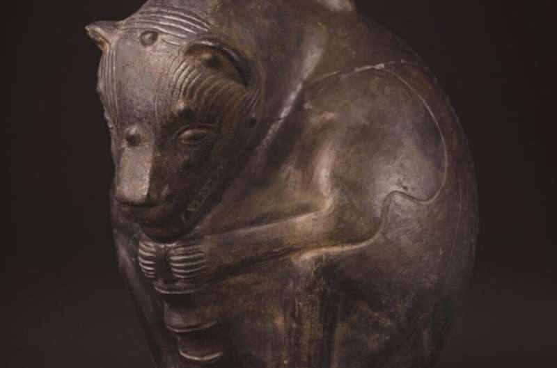 Жертвы, компаньоны или целители? Тайны жизни древних животных доинкской цивилизации раскрыты