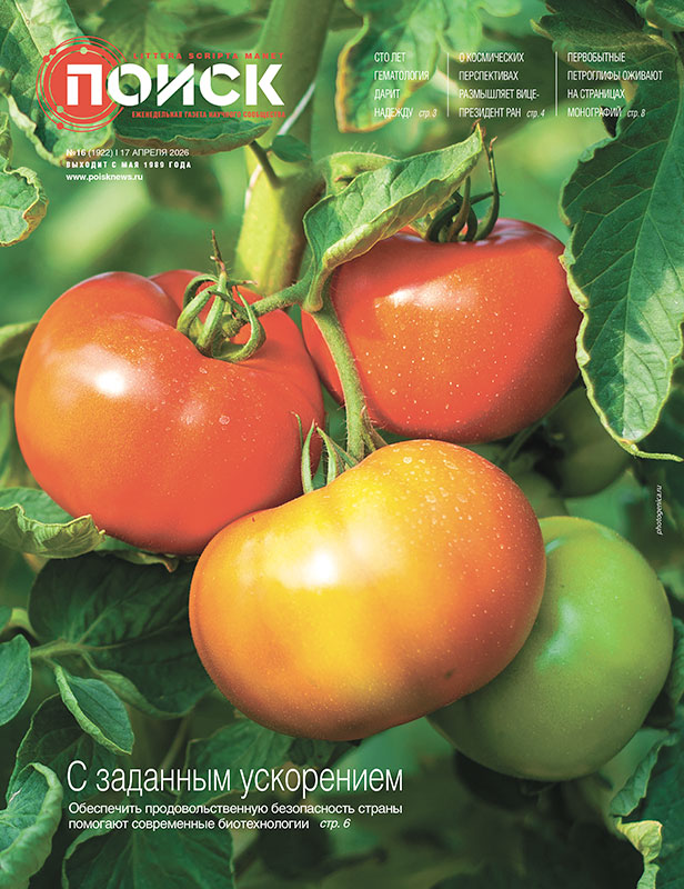 Семена независимости. Обеспечить продовольственную безопасность страны помогают современные биотехнологии