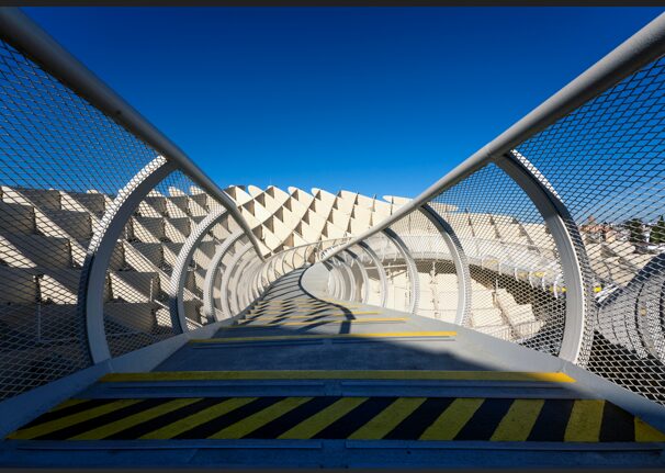 Геометрия как инстинкт: ученый доказала, что крысы и младенцы понимают пространство так же, как и взрослые люди