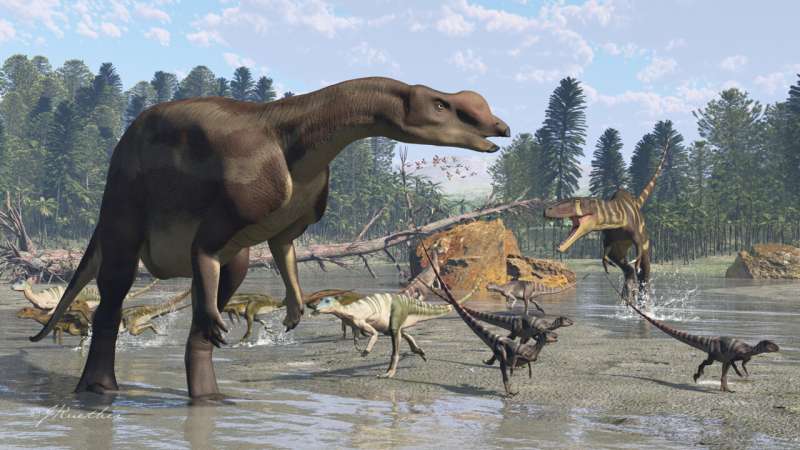 Зубастый гурман с отличным нюхом: как австралийский динозавр Muttaburrasaurus удивил ученых