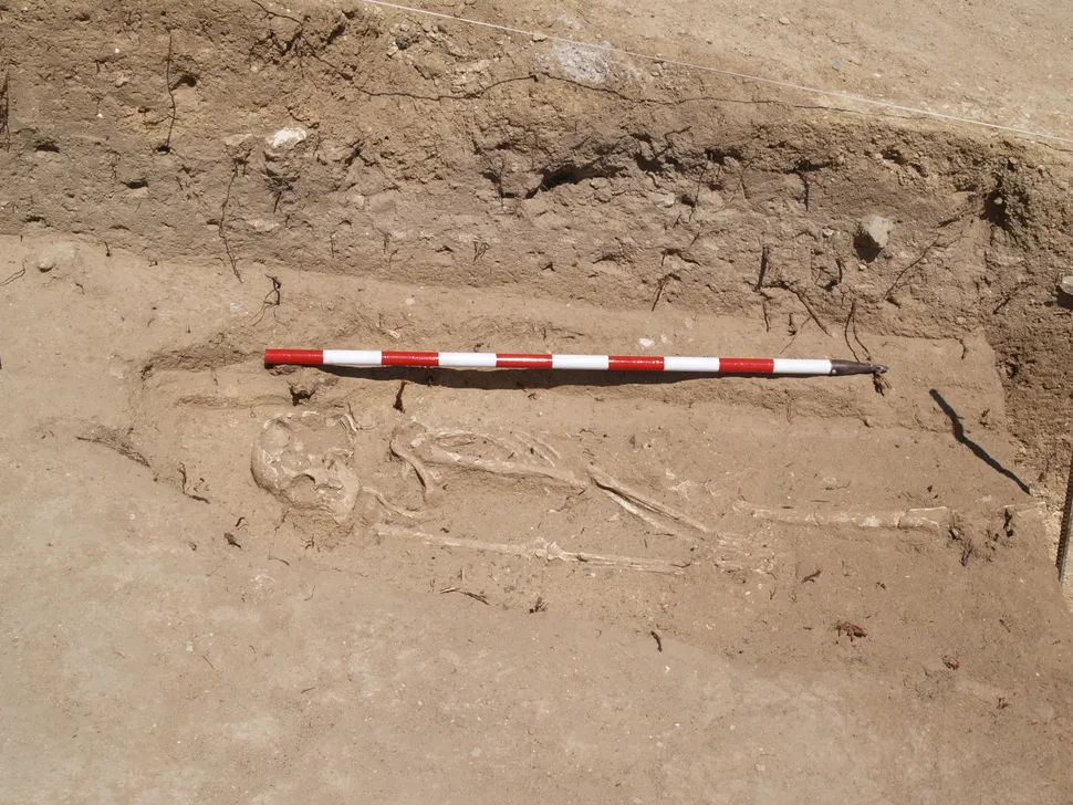 Генетический детектив: кем были средневековые мужчины, похороненные в древнем мегалите?