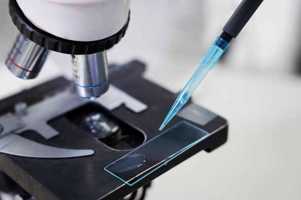 Остановить рак, изменив его среду: открытие о плотности тканей открывает «окно вмешательства» для врачей