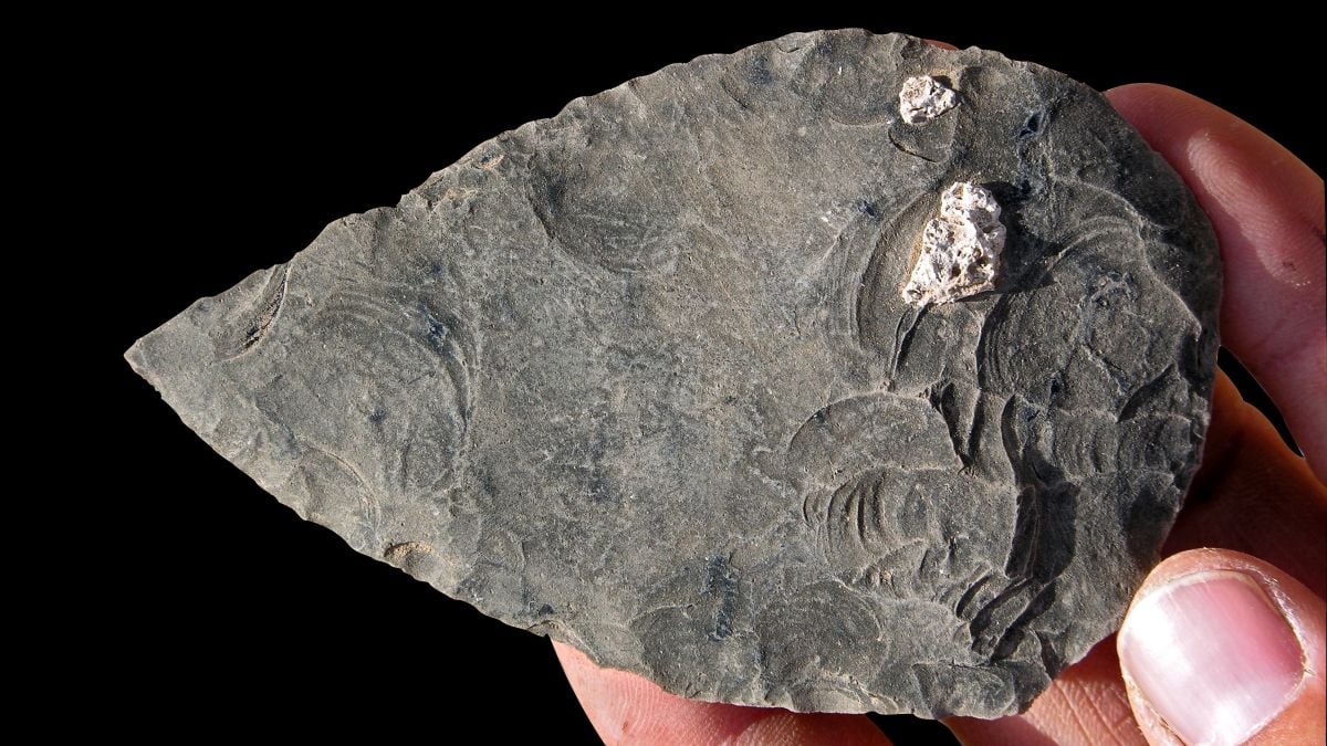 В Африке нашли следы жизни людей 100 тысяч лет назад — и три очень разные смерти