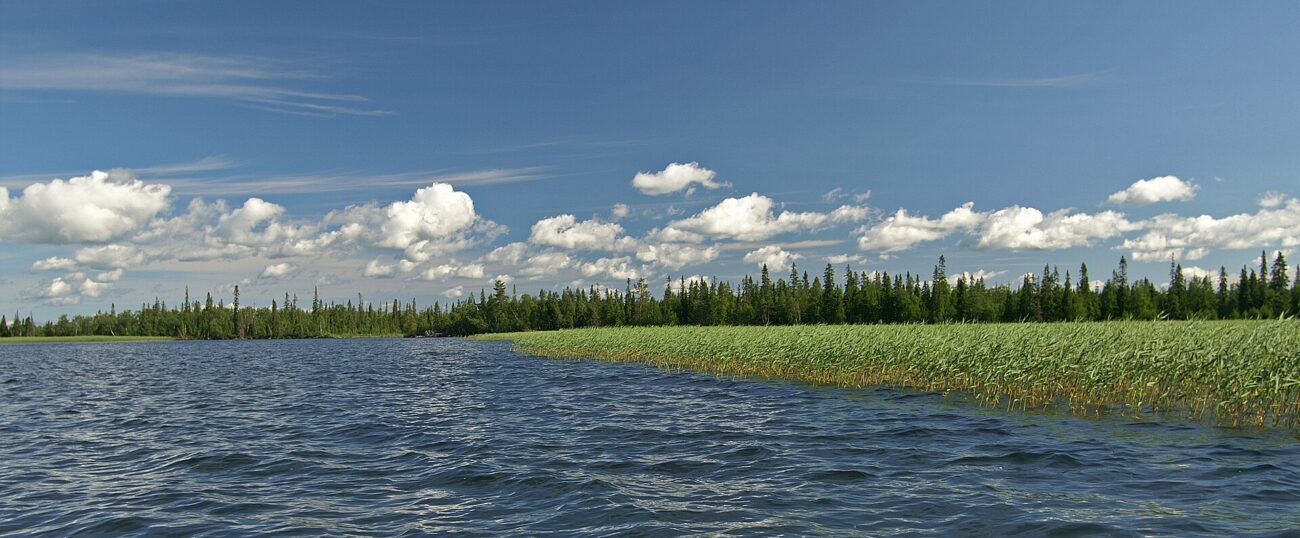 Тайны художников Арктики: как 3D-модели петроглифов древнего озера помогут раскрыть их загадочный смысл