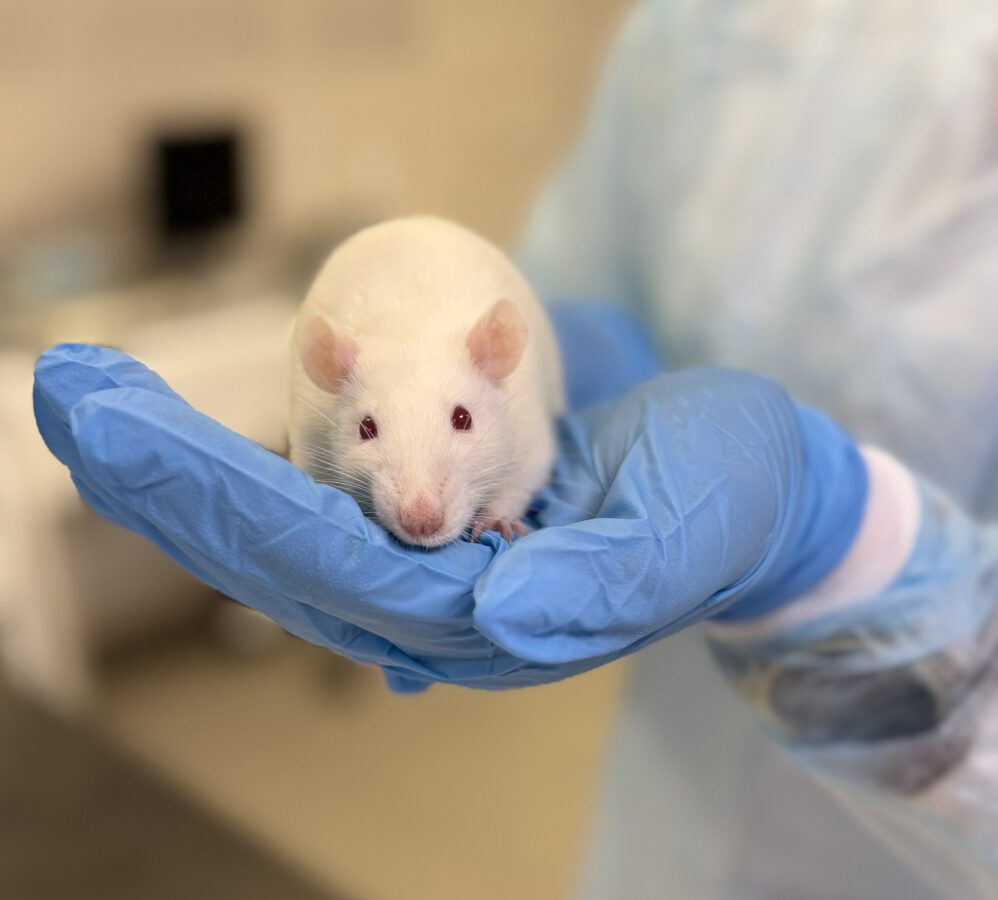 Ученые разработали подход двойного действия для лечения поражений печени и стимуляции ее восстановления