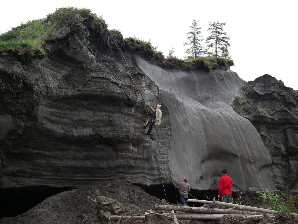 32 тысячи лет назад в арктической Сибири: как предки выживали в чередовании тундры и потеплений