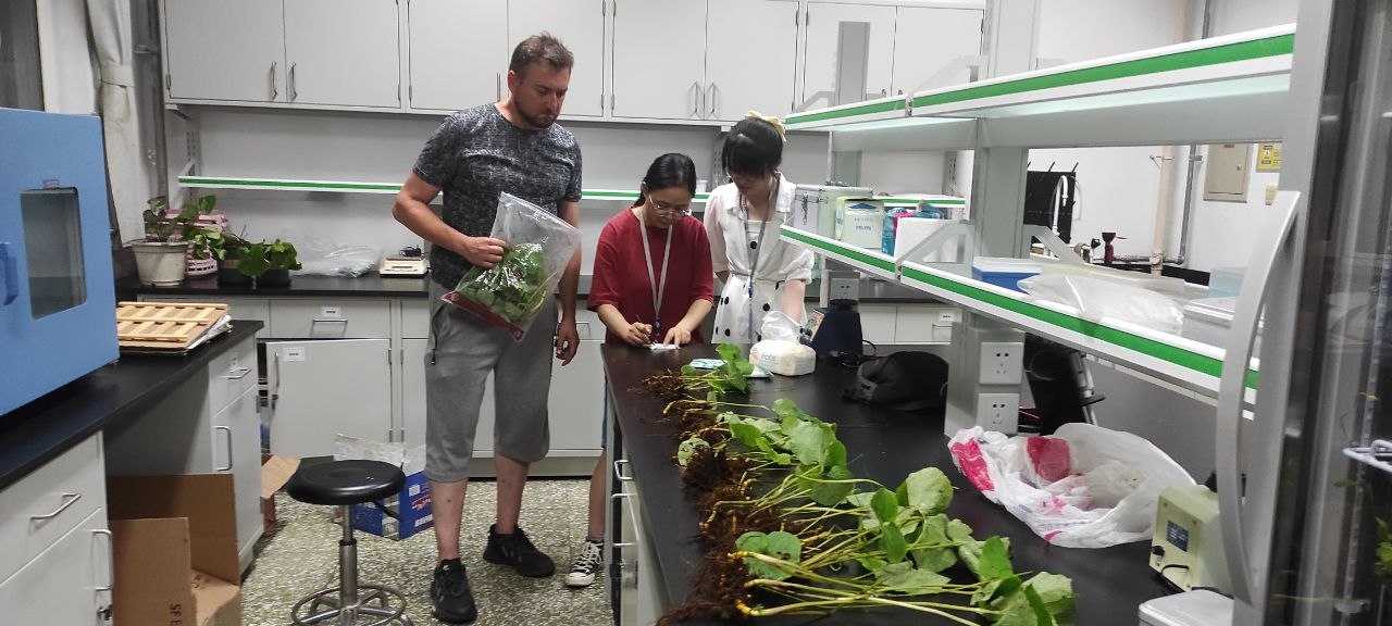 Самая полная «родословная». ДНК раскрыла секреты лютиков: кто настоящий предок цветов в вашем саду?