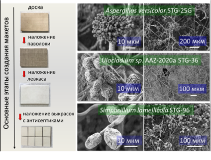 «Броня» для шедевров: ученые РАН создали новые соединение для защиты произведений живописи