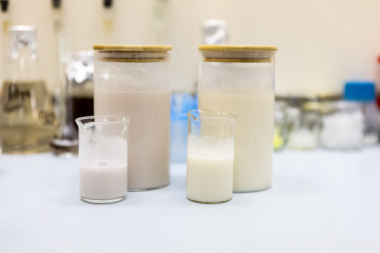 Не только еда. Назван продукт, употребление которого снижает риск возникновения гипертонии и диабета