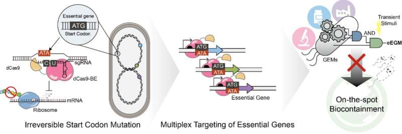 Прорывная технология CRISPR: ученые научились безопасно уничтожать ГМО-микроорганизмы без повреждения ДНК