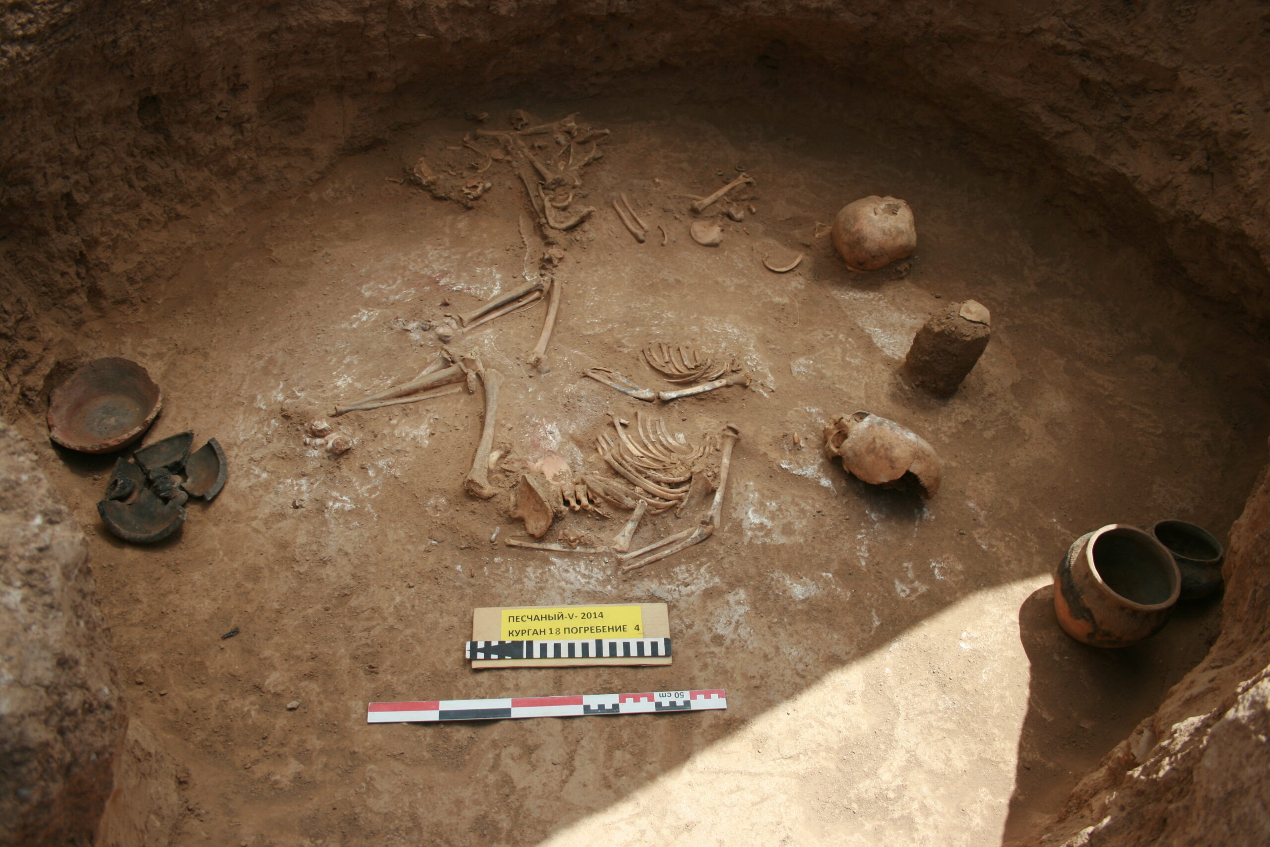 Ученые переписали историю древних культур Придонья — хронология оказалась ошибочной на тысячелетия