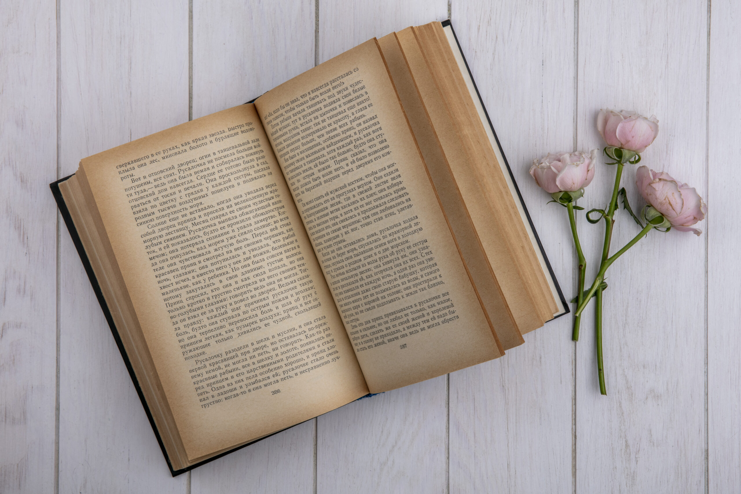 Бумажная книга или планшет: ученые узнали, что лучше для мозга и памяти