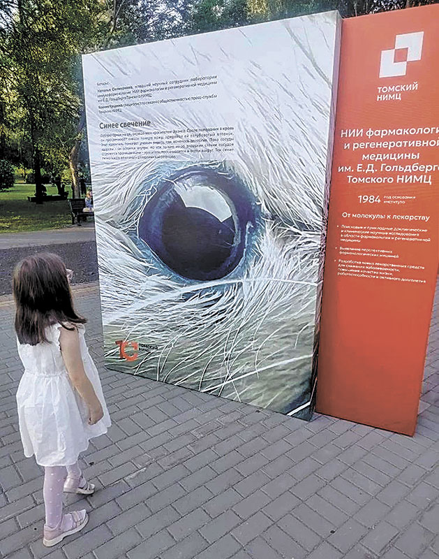 Динамика династий