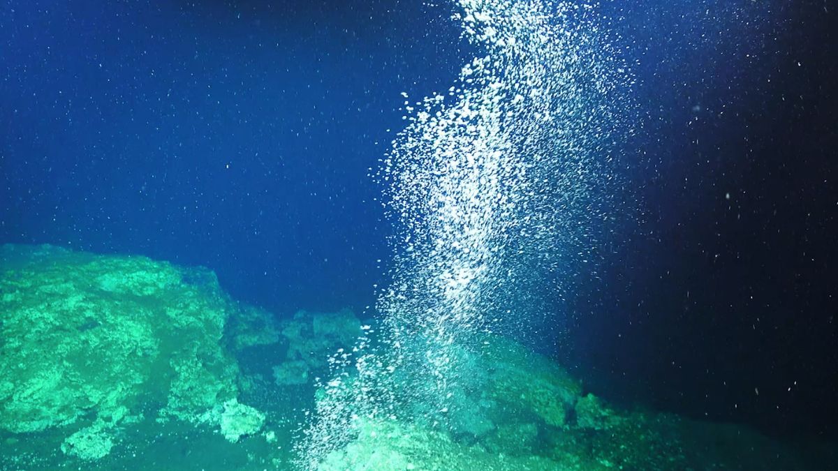 Из скважины на дне моря хлынул метан. Неожиданно вокруг нее возник живой «фильтр»