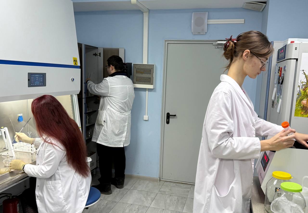 Природный фильтр. Российские ученые нашли способ обезвредить антибиотики в сточных водах