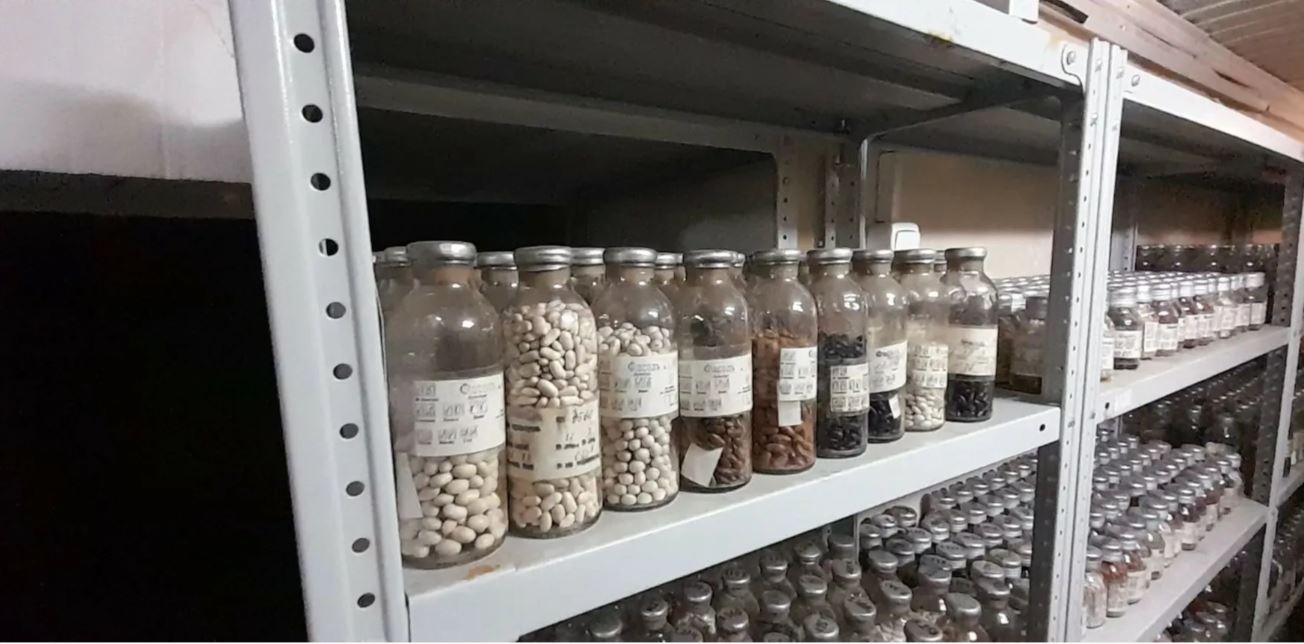Арктический «погреб». В вечную мерзлоту заложили первую партию продуктов: эксперимент рассчитан на 50 лет