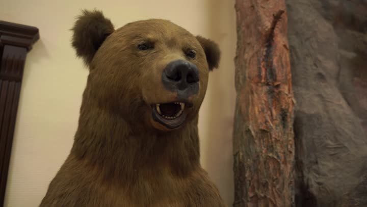 Экскурсия в Зоологический музей Уфимского Универси...